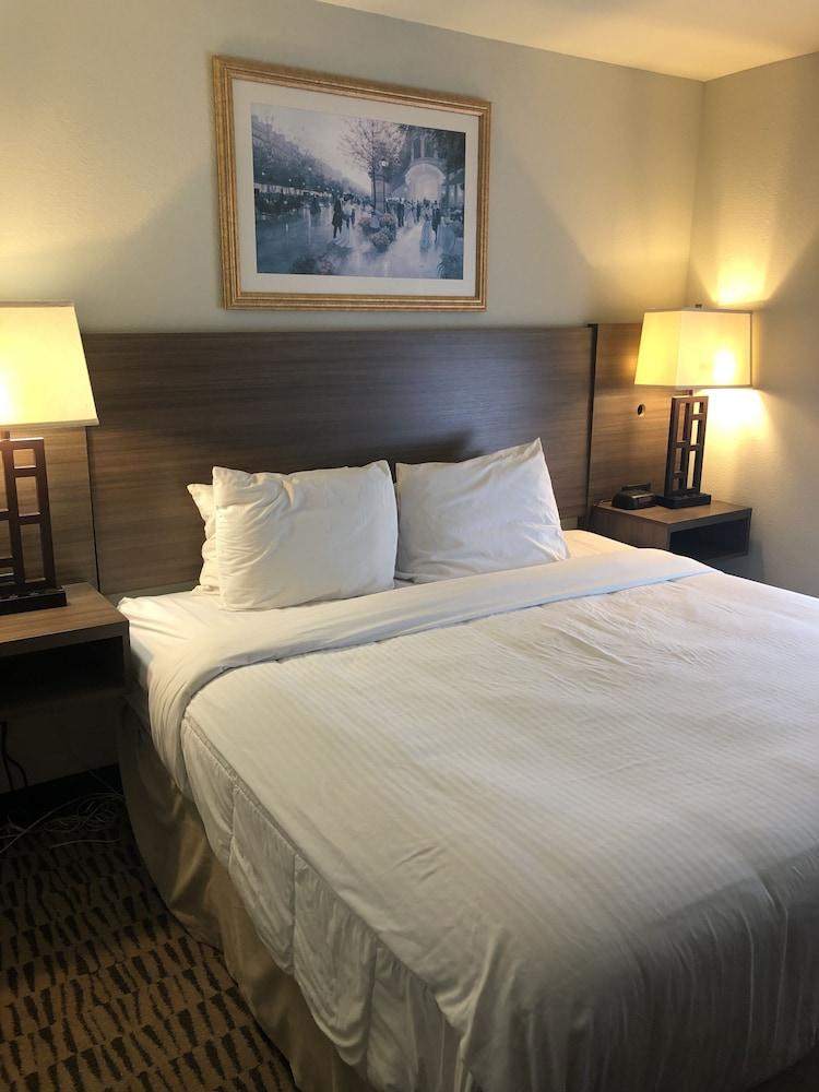 Clarion Pointe Charleston - West Ashley Hotel Luaran gambar